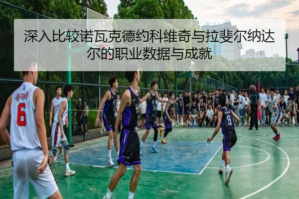 深入比较诺瓦克德约科维奇与拉斐尔纳达尔的职业数据与成就